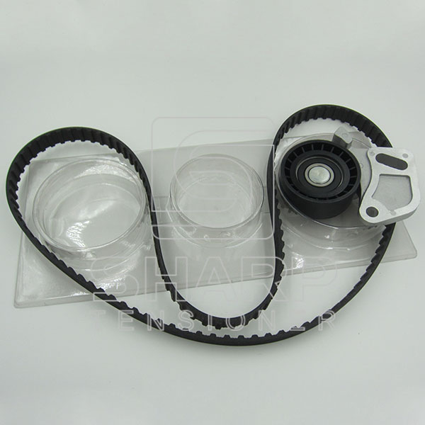FIAT NYTRON KIT9004 Timing Belt Kit (1)