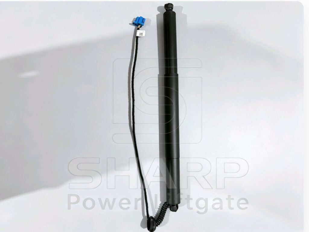 Power Liftgate strut fits for OE A2538900600 L（ELECTRIC）