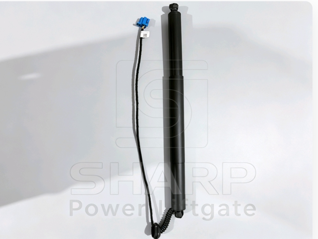 Power Liftgate strut fits for OE A2538900600 L（ELECTRIC）