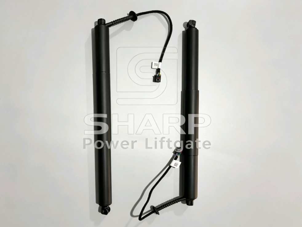 Power Liftgate strut fits for OE 95851285107 95851285108 L&R