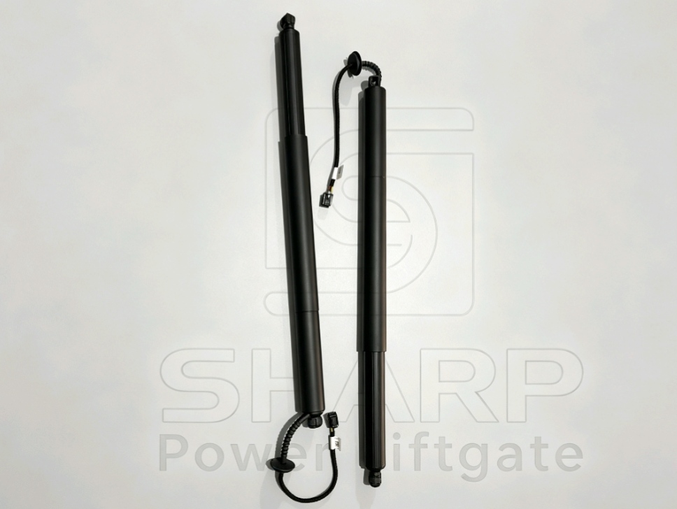 Power Liftgate strut fits for OE LR083139 L&R