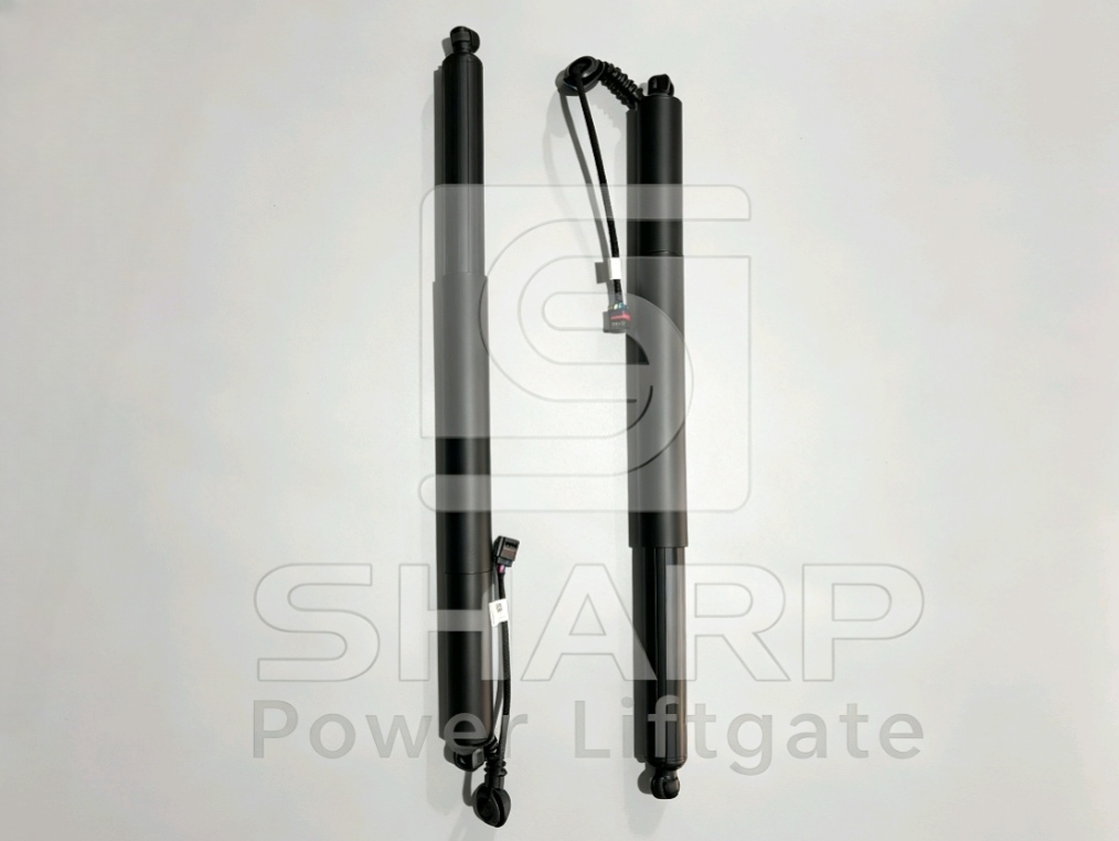 Power Liftgate strut fits for OE 32136006 32227614 31420455 L&R