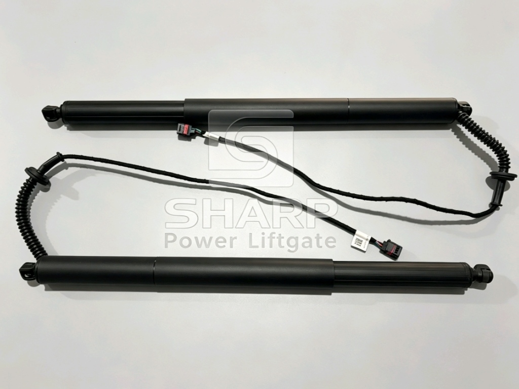 Power Liftgate strut fits for OE 31690603 31457610 31663099 31371096 L&R
