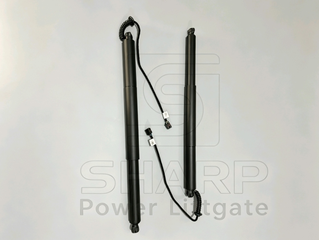 Power Liftgate strut fits for OE 81770D3100 L（ELECTRIC）