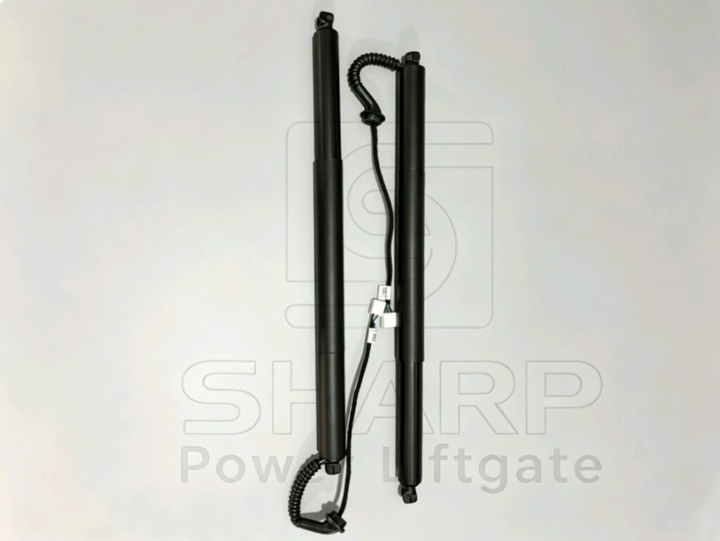 Power Liftgate strut fits for OE 6891009120 R(ELECTRIC) 1 Power Liftgate strut fits for OE 6891009120 R(ELECTRIC) 1
