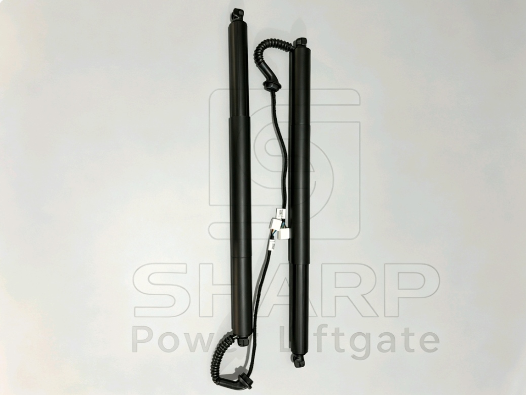 Power Liftgate strut fits for OE 6891009130 L（ELECTRIC）