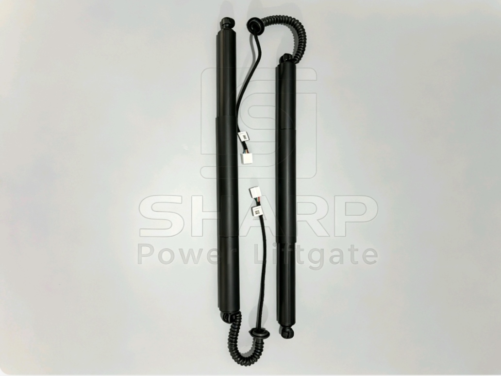 Power Liftgate strut fits for OE 6891071030 R（ELECTRIC）