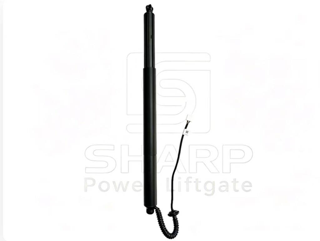 Power Liftgate strut fits for OE 6891071030 R（ELECTRIC） 2