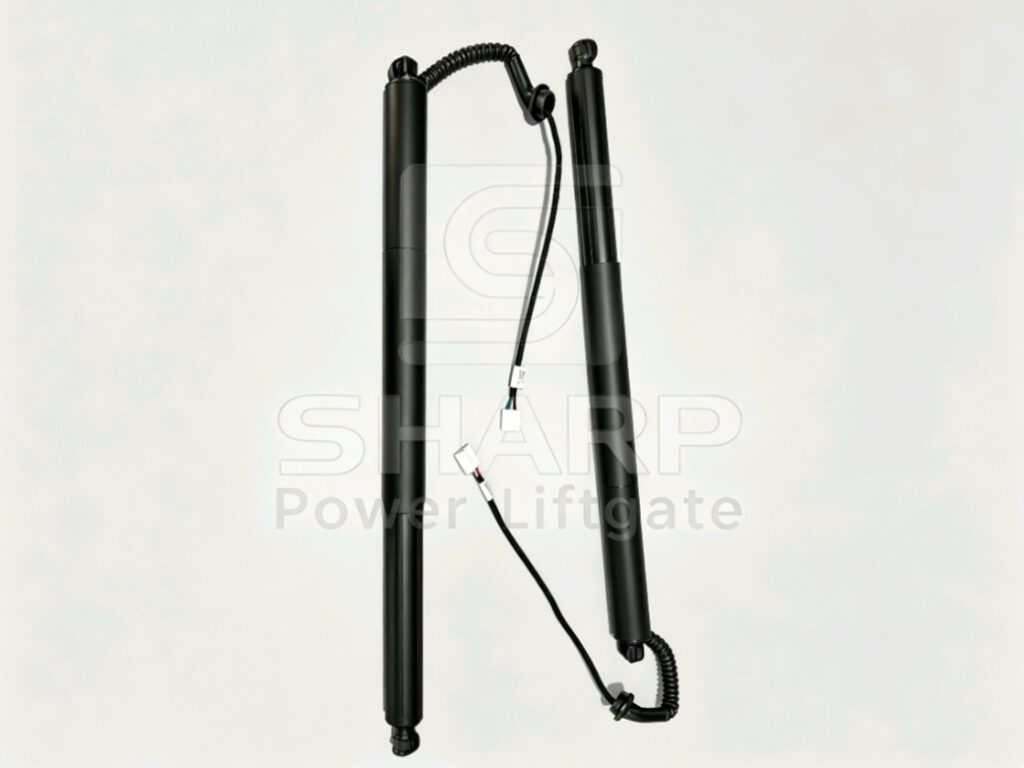 Power Liftgate strut fits for OE 689200R060 6892042020 L&R（ELECTRIC）