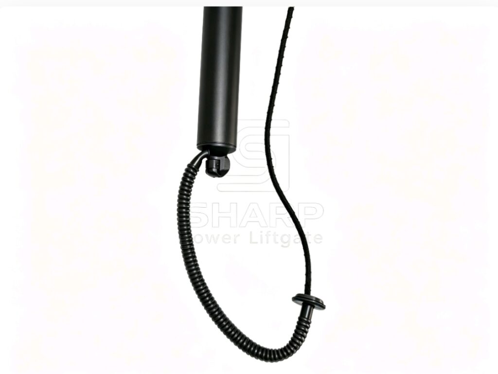 Power Liftgate strut fits for OE 6892009010 6892049018 6892049135 6892042016 L&R 1