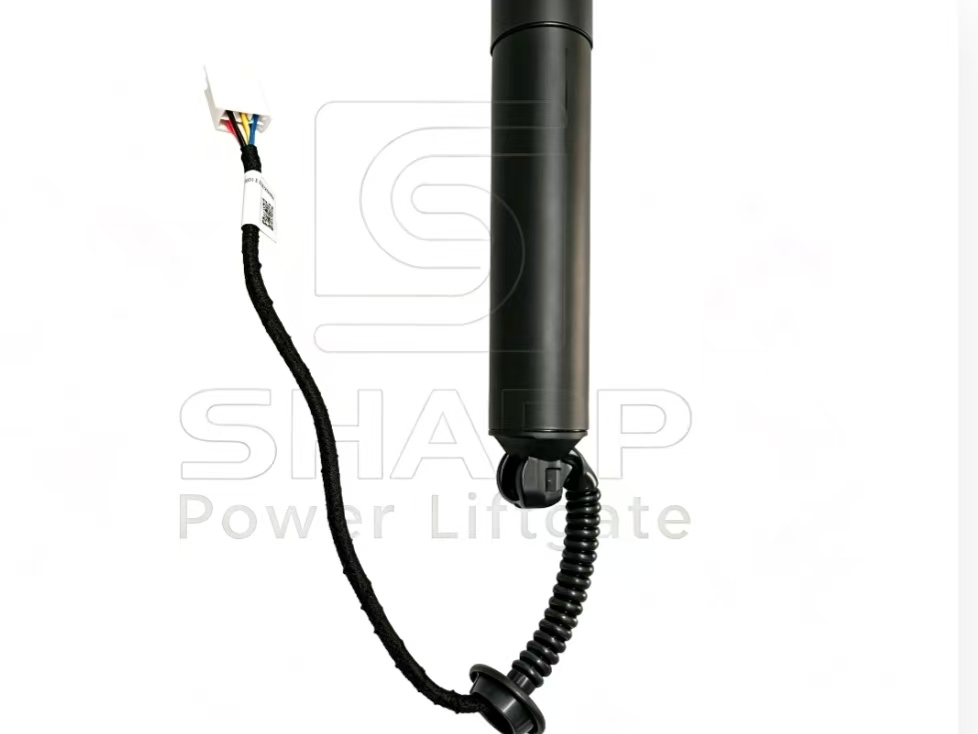 Power Liftgate strut fits for OE 6891009023 6891009022 6891009021L&R(ELECTRIC) 3 Power Liftgate strut fits for OE 6891009023 6891009022 6891009021L&R(ELECTRIC) 3