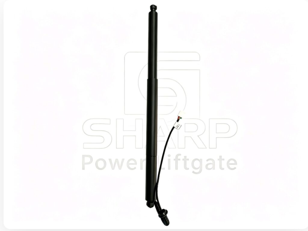 Power Liftgate strut fits for OE 6891008050 6891008050A 6891008070 6891008070 6891008030 L&R