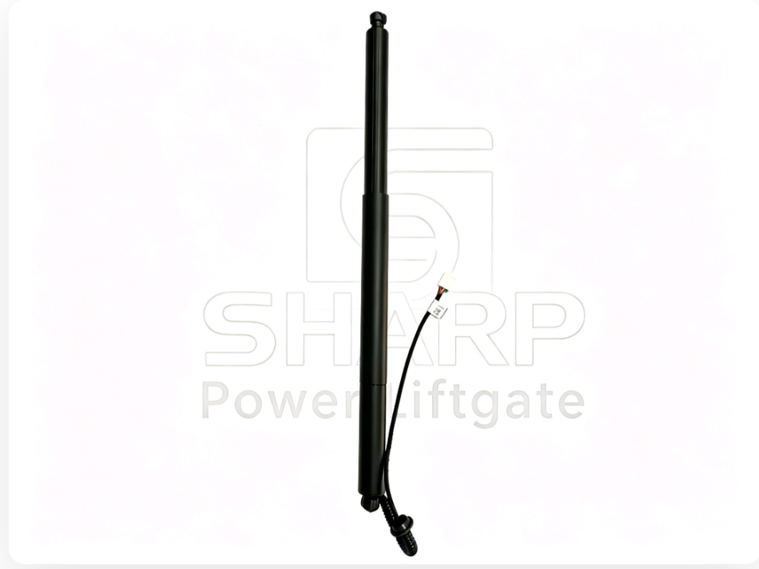 Power Liftgate strut fits for OE 6891008050 6891008050A 6891008070 6891008070 6891008030 L&R